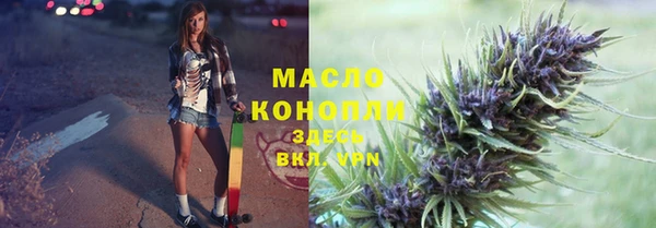 PSILOCYBIN Ельня