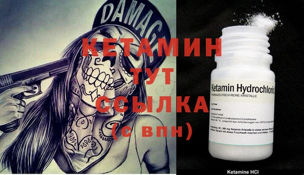 PSILOCYBIN Ельня
