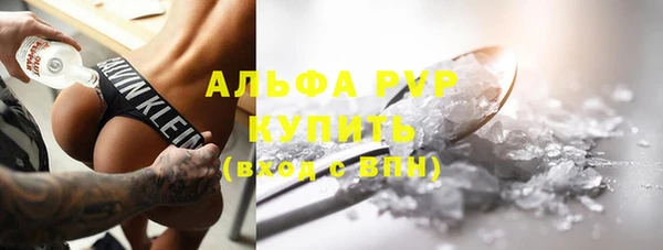 PSILOCYBIN Ельня