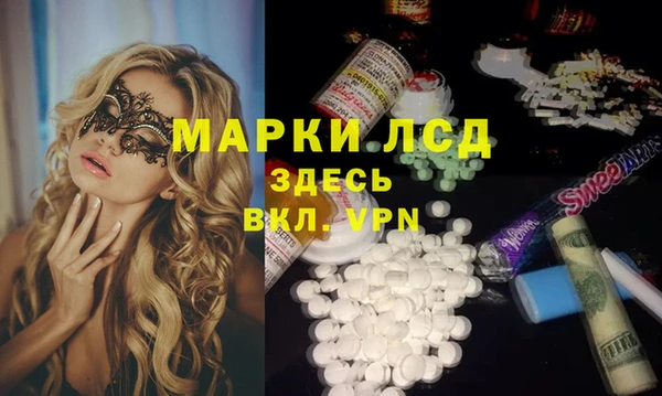 PSILOCYBIN Ельня