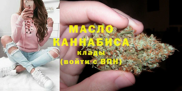 PSILOCYBIN Ельня