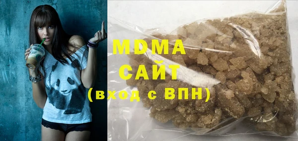 PSILOCYBIN Ельня