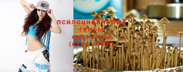 ALPHA-PVP Заводоуковск