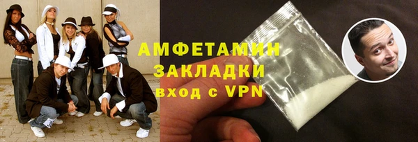 PSILOCYBIN Ельня