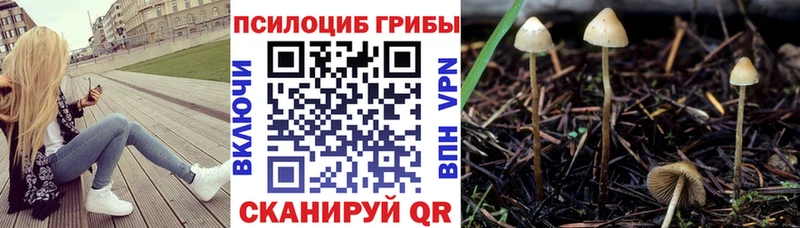 Галлюциногенные грибы мухоморы  где найти   Дигора 