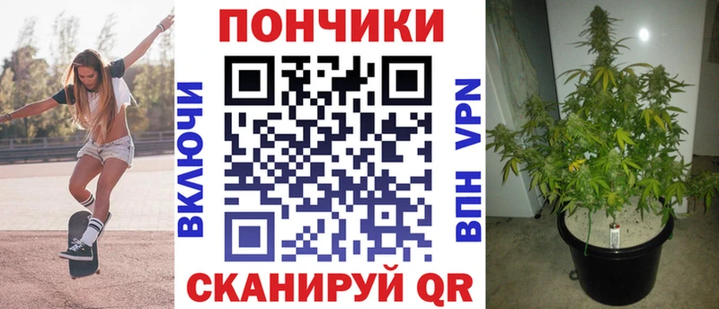 Бошки Шишки THC 21% что такое наркотик Дигора